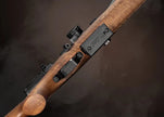 FX DRS MKII 700 Classic Walnut .22 Cal